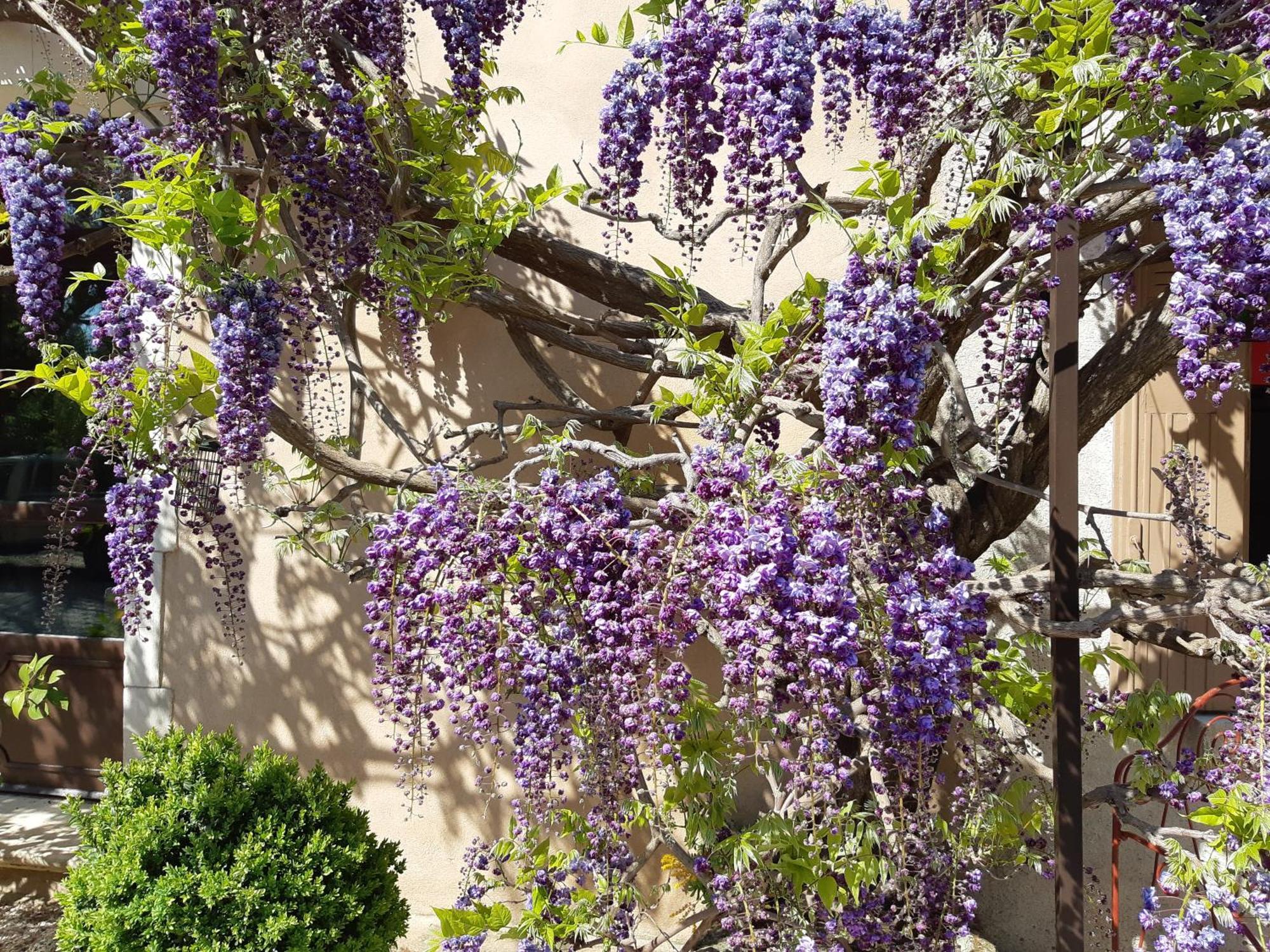Cherche Midi Noves ภายนอก รูปภาพ